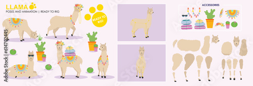 Beige Llama Alpaca cartoon character ready to rig for animation. Collection, set multiple poses, cute animal vector with accessories. Farm animals rig ready