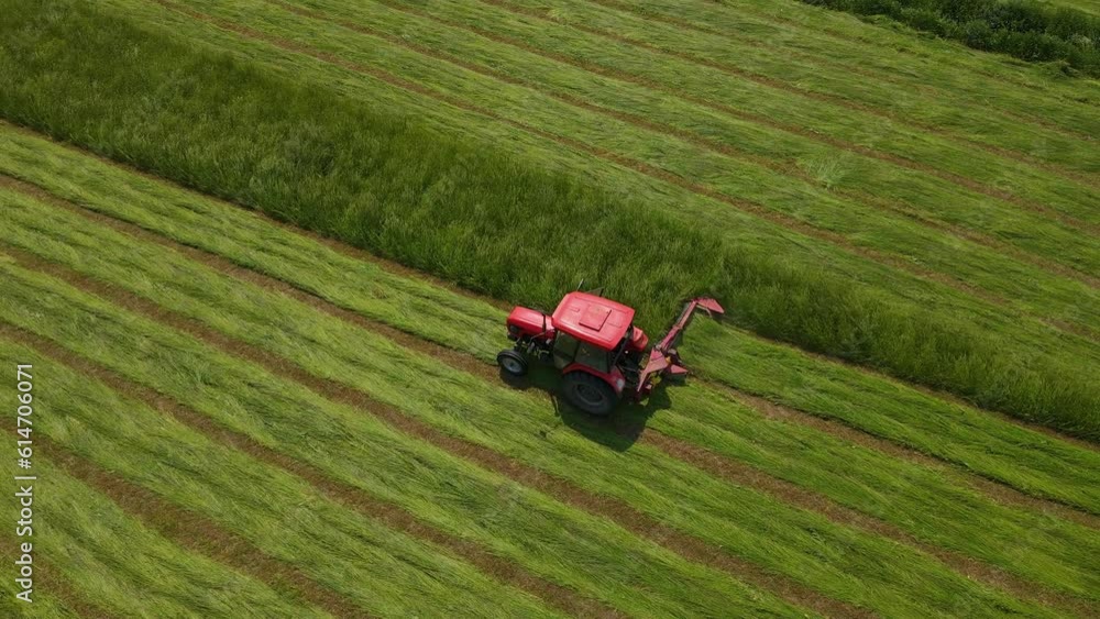 Tractor cutting grass on fresh green field, meadow pasture, mown grass will be dried and turned into hay. Work in agronomic farm for making business and production organic eco bio animal feed Tractor cutting grass on fresh green field, meadow pasture, mown grass will be dried and turned into hay. Work in agronomic farm for making business and production organic eco bio animal feed