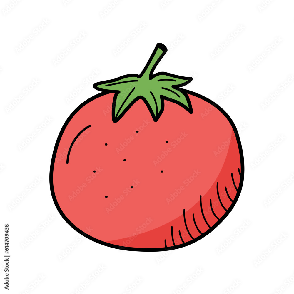 Tomato doodle icon, vector single vegetable on a white background. Tomato doodle icon, vector single vegetable on a white background.