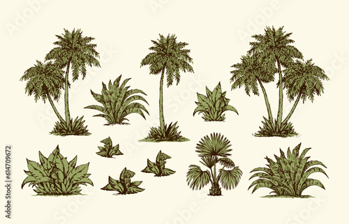 Palm forest. Vector drawing