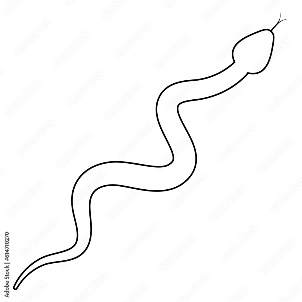 Line snake. Serpent linear animal. Vector illustration isolated on white. Line snake. Serpent linear animal. Vector illustration isolated on white.