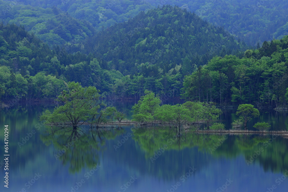 岩手県奥州市　新緑の奥州湖