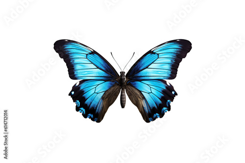 Close-up butterfly isolated on transparent background generative AI.