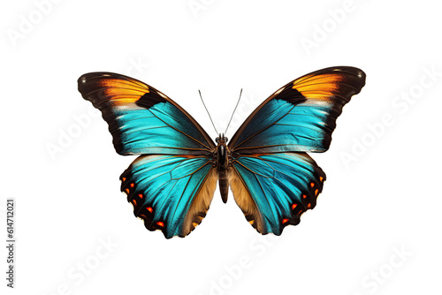 Close-up butterfly isolated on transparent background generative AI.