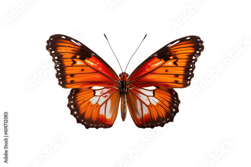 Close-up butterfly isolated on transparent background generative AI. © MrNobody