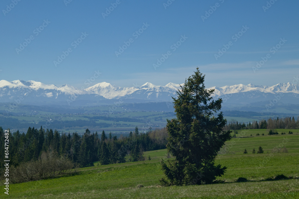 landscape with trees and Tatra mountains