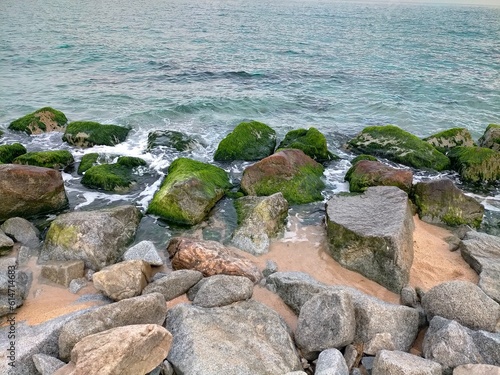 Views of a rock covered with algae. With the Mediterranean Sea in the background