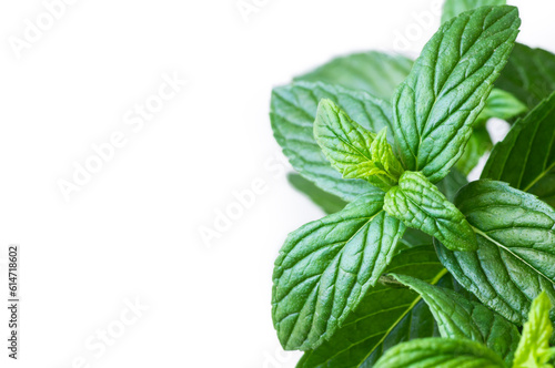 Fresh Organic Mint leaves isolated on white background, healthy green vegetable