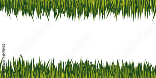 Super realistic green grass border isolated on transparent background.