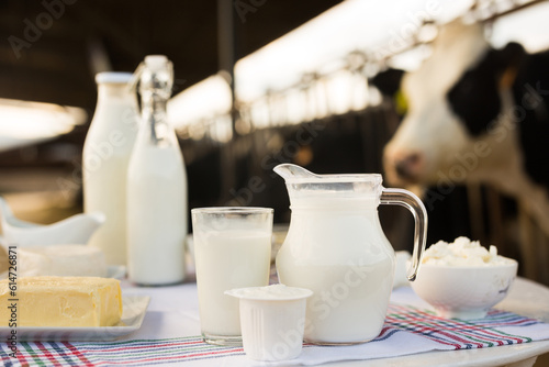 dairy products on table against the background of herd of cows in barn