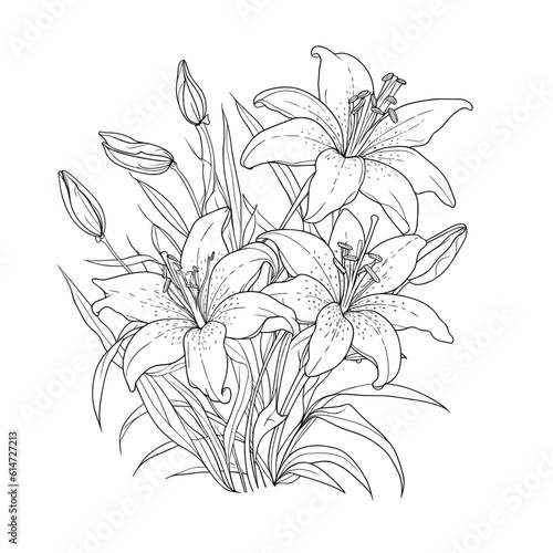 Fototapeta Naklejka Na Ścianę i Meble -  White lily isolated on a white background. Cute hand drawn flower vector illustration in black outline and black plane on white background