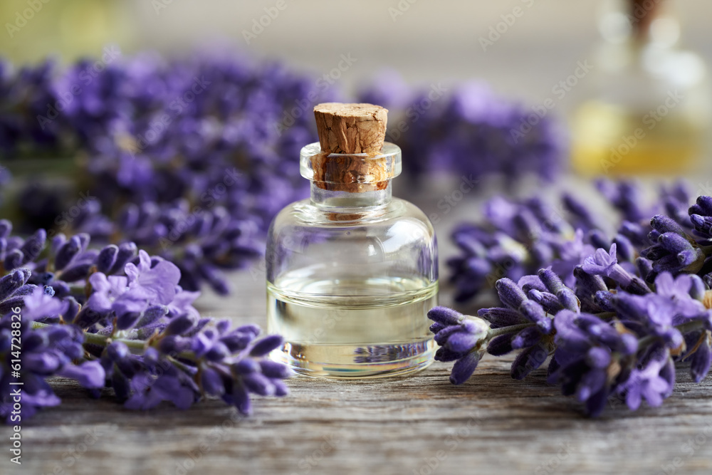 A transparent bottle of essential oil with fresh blooming lavender A transparent bottle of essential oil with fresh blooming lavender