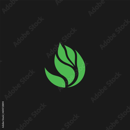 Leaf logo design vector illustration