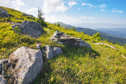 carpathian countryside in summer. mountainous landscape with tree and stones on the grassy hill
