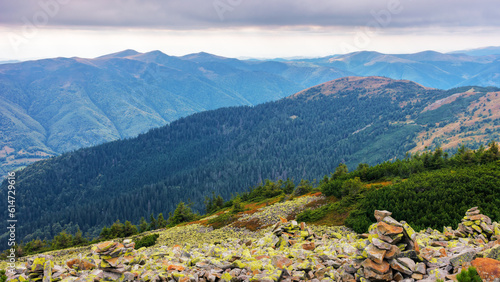 carpathian mountain landscape in early autumn. view from the peak of mountain strymba. beautiful scenery on a cloudy day. popular travel destination of ukraine © Pellinni
