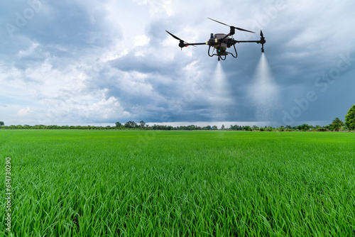 Agriculture drone flying above green rice fields to spraying fertilizer and pesticide farmland agricultural smart farm business concept with blue cloud sky background.