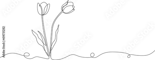 continuous single line drawing of tulips, fresh flowers line art vector illustration