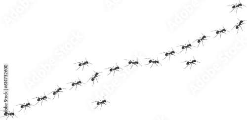 A line of worker ants marching in search of food. Vector banner 