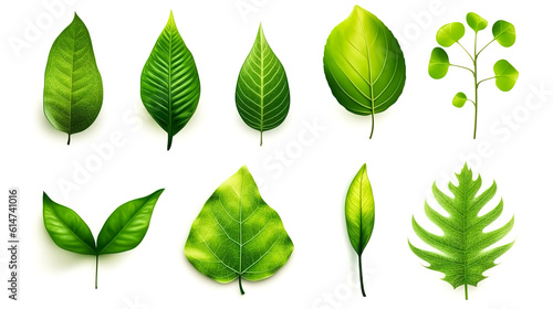 Set of green leaves of different trees  generative AI.