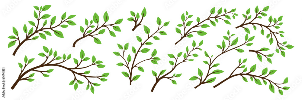 Tree Brunch Icon Set Isolated. Flat Cartoon Simple Twig with Green Leaves Collection. Design Decorative Elements. Spring, Summer Leaves, Brunches, Plants, Leaves, Herbs. Vector Illustration - obrazy, fototapety, plakaty 