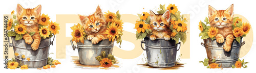 Watercolor painting style of orange kitten and flowers in water bucket, Vector Illustration