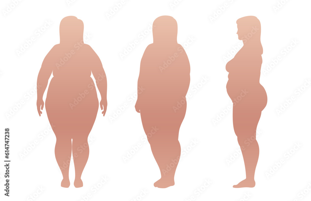 Plus size overweight woman . Full-length standing portrait in underwear. Body-positive female. Figure front, 3 of 4, side views shape. Vector outline sketch line illustration Plus size overweight woman . Full-length standing portrait in underwear. Body-positive female. Figure front, 3 of 4, side views shape. Vector outline sketch line illustration