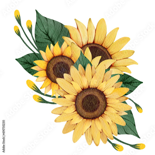 sunflower isolated on white