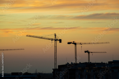cranes at sunset
