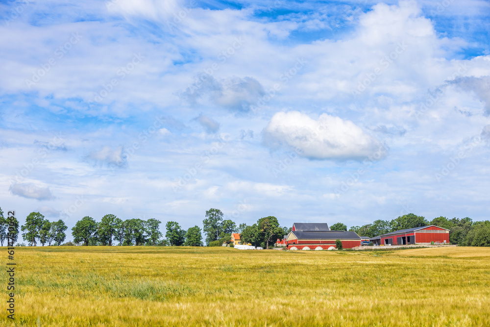 Field with crops by a farm in the countryside Field with crops by a farm in the countryside