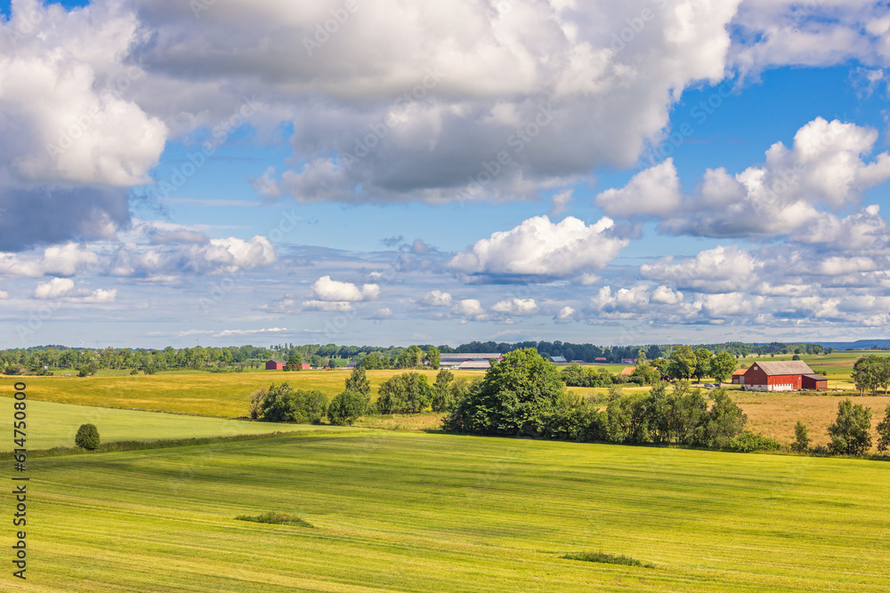 Beautiful view in the countryside at summer Beautiful view in the countryside at summer