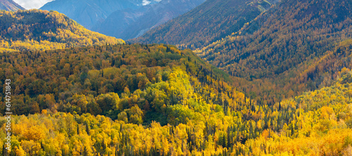 panorama image of a mountain landscape in autumn colors