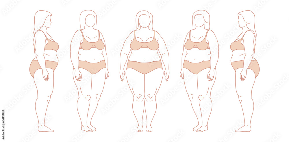 Plus-size woman silhouette. Five angles figure front, 3 of 4, side views shape. Set of Big chubby body Positive woman fat curvy figures. Female Standing In Lingery. Vector line sketch Illustration Plus-size woman silhouette. Five angles figure front, 3 of 4, side views shape. Set of Big chubby body Positive woman fat curvy figures. Female Standing In Lingery. Vector line sketch Illustration