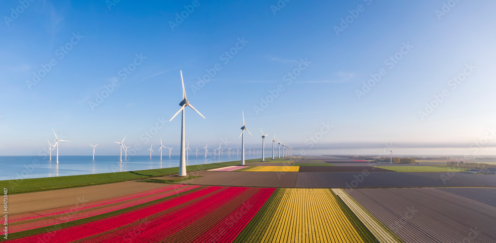 Aerial view of tulip fields and wind turbines in the Flevoland