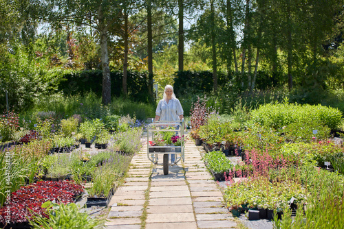 Senior Female Customer Pushing Trolley In Garden Centre Choosing Plants