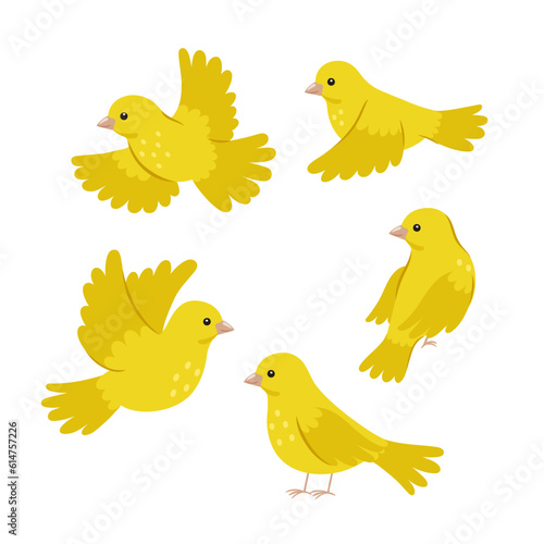 Set of cute yellow canaries isolated on white background. Vector graphics.
