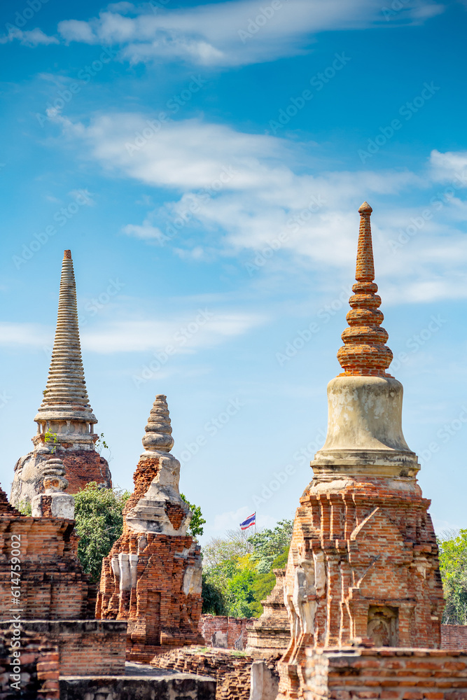 Fototapeta premium Ayutthaya historical park, Thailand 