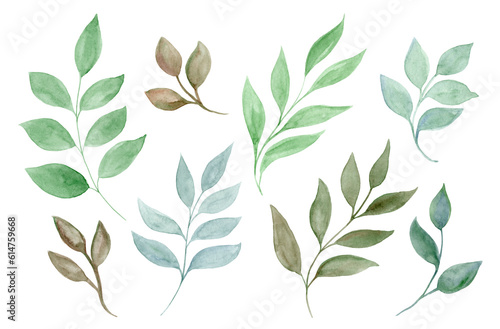 Set of watercolor green leaves elements. Collection botanical illustration isolated on white background suitable for Wedding Invitation, thank you, or greeting card.