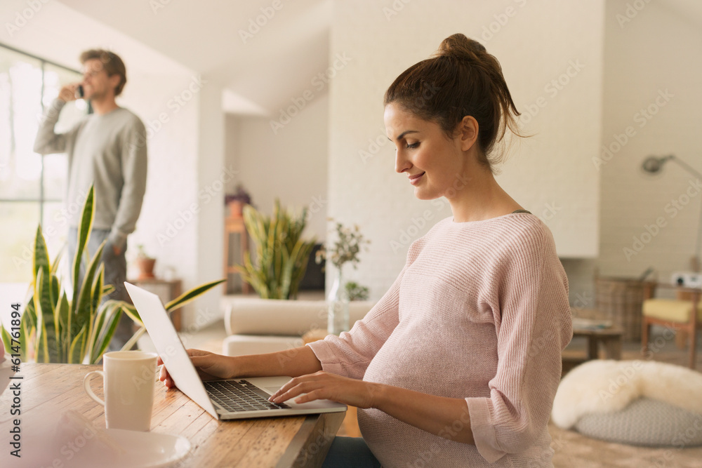 Pregnant woman using laptop at dining table Pregnant woman using laptop at dining table