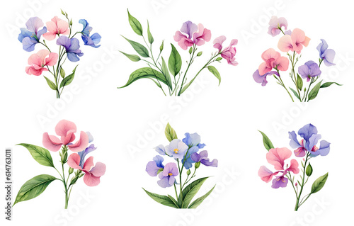 Watercolor sweet pea set. Generative Ai