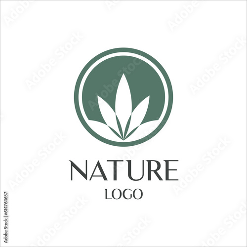 Natural cannabis leaf logo in circle vector