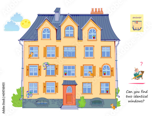 Logic puzzle for children and adults. Can you find two identical windows? Page for kids brain teaser book. Task for attentiveness.  IQ test. Play online. Vector cartoon illustration.