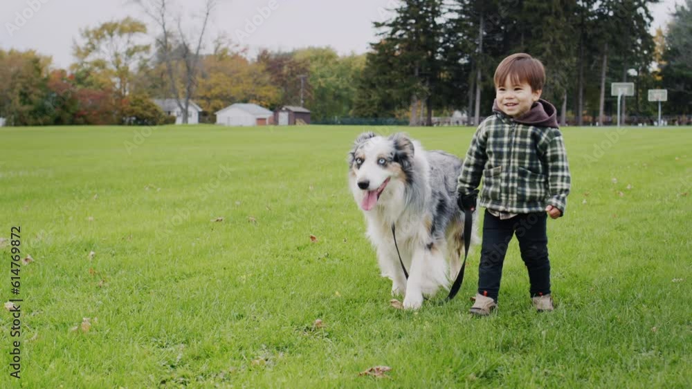 Little asian kid walking with big shepherd dog in the park Little asian kid walking with big shepherd dog in the park