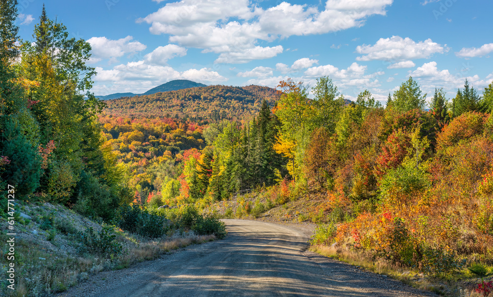 Naklejka premium Autumn colors at Quill Hill - Rangeley Lakes overlook in western Maine - scenic drive