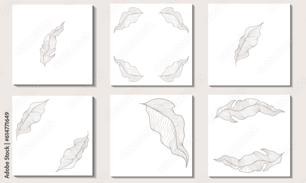Set of square backgrounds with exotic leaves. Outline drawing of long and wide leaves with veins.