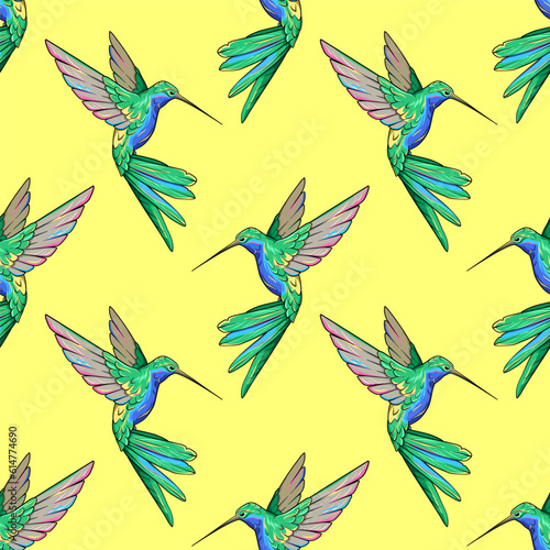 Hummingbird, colibri bird seamless pattern, background