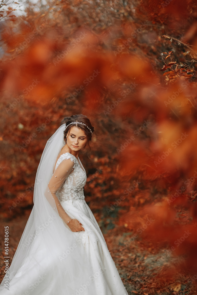 Beautiful bride in autumn forest in long lace dress holding veil in autumn forest. Semi-long