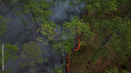 Prescribed, controlled burn of forest to prevent wildfires across South Carolina low country