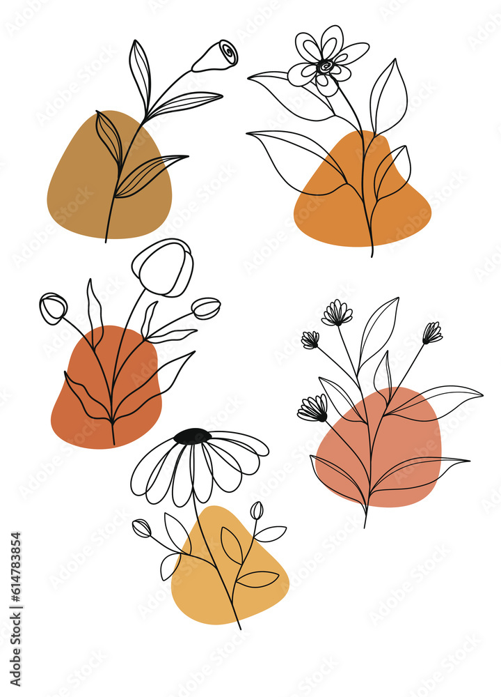 Flowers lines Flowers lines