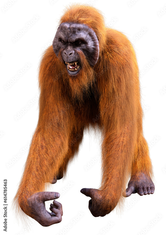 Obraz premium 3D Rendering Orangutan on White