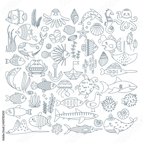 Set of algae, shells, octopus, stingray, dolphin, seahorse, swordfish, turtle, whale, crab.